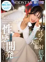 おもちゃ・大量顔射・初3P・オイルエステ もっと気持ち良くなるために初めての一人旅 3泊4日の性感開発トラベラー 新川空 あらかわそら