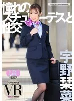 【VR】【WAAPグループVRリニューアル】憧れのスチュワーデスと性交 VR 宇野栞菜 宇野栞菜（阿部栞菜）