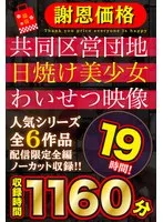 【福袋】【謝恩価格】共同区営団地 日焼け少女わいせつ映像 19時間！