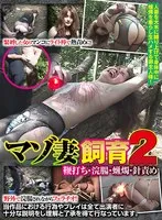 マゾ妻飼育2 鞭打ち・浣腸・蝋燭・針責め