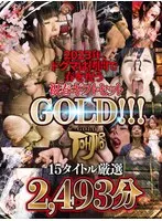 【祝春ギフト】2023年、ドグマは拷問で春を祝う 祝春ギフトセットGOLD！！！ 15タイトル厳選 2493分 野中あんり、美咲結衣