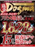 【福袋】絶頂後、即追撃！！アクメ地獄に堕とされ続けた美女達。15作品1828分。新春ドグマ福袋セット 妃月るい、加瀬ななほ