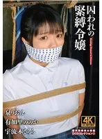 囚われの緊縛令嬢 DIDコレクション3 泉りおん、有加里ののか