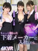 【VR】新人く～ん？？下着のフィット感確認してください！ちょっと変わった下着メーカーに入社したら…巨乳社長ましろ杏 痴女部長七瀬ひな どM同僚水沢つぐみ 水沢つぐみ、ましろ杏