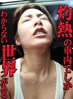 【VR】完全リマスター高精細VR 真夏の炎天下の狭い車内で汗だくになって肉欲系カーセックスしまくりました 永久保存版 阿部乃みく 浜崎真緒 阿部乃みく、浜崎真緒