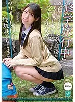 修学旅行中に告白しようと思ってた幼馴染がたまたま同じ旅館に泊まってたウェーイwww系ヤリサー集団の目に留まり、性玩具にされてしまった あおいれな あおいれな