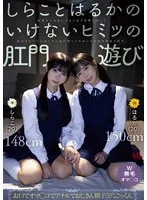 しらことはるかのいけないヒミツの肛門遊び 肛則を守れないひよこ女子を呼び出して幼気な6つ穴におじさん達が寄ってたかって肉棒を挿れてみた。 池内遥 しらこ