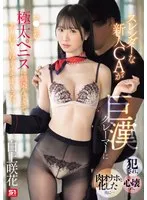 スレンダーな新人CAが巨漢クレーマーに犯●れ、心壊れ、肉オナホと化した後に… マ●コが極太ペニスに馴染んできてあり得ないほどイキまくった。 白上咲花 白上咲花