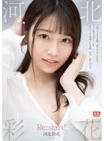 河北彩花 Re:start！ 河北彩伽（河北彩花）