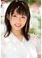 新人NO.1STYLE 河北彩花AVデビュー 河北彩伽（河北彩花）